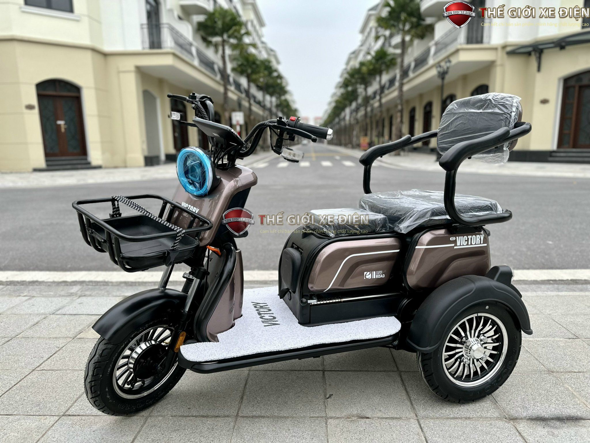 xe điện 3 bánh dành cho người giá xe điện 3 bánh dành cho người giá