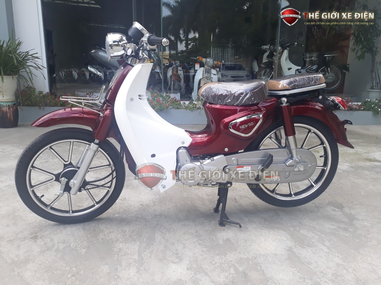 Xe Máy 50cc Cub New Vigor Ally Vành Đúc Xe Máy 50cc Cub New Vigor Ally Vành Đúc