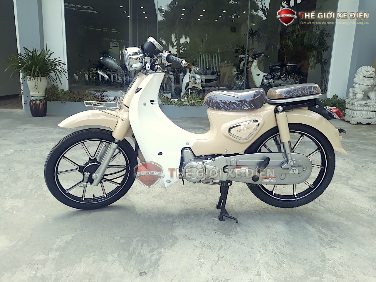 Xe Máy 50cc Cub New Vigor Ally Vành Đúc Xe Máy 50cc Cub New Vigor Ally Vành Đúc