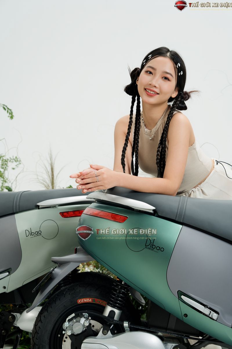 xe máy điện dibao gogo s5 xe máy điện dibao gogo s5