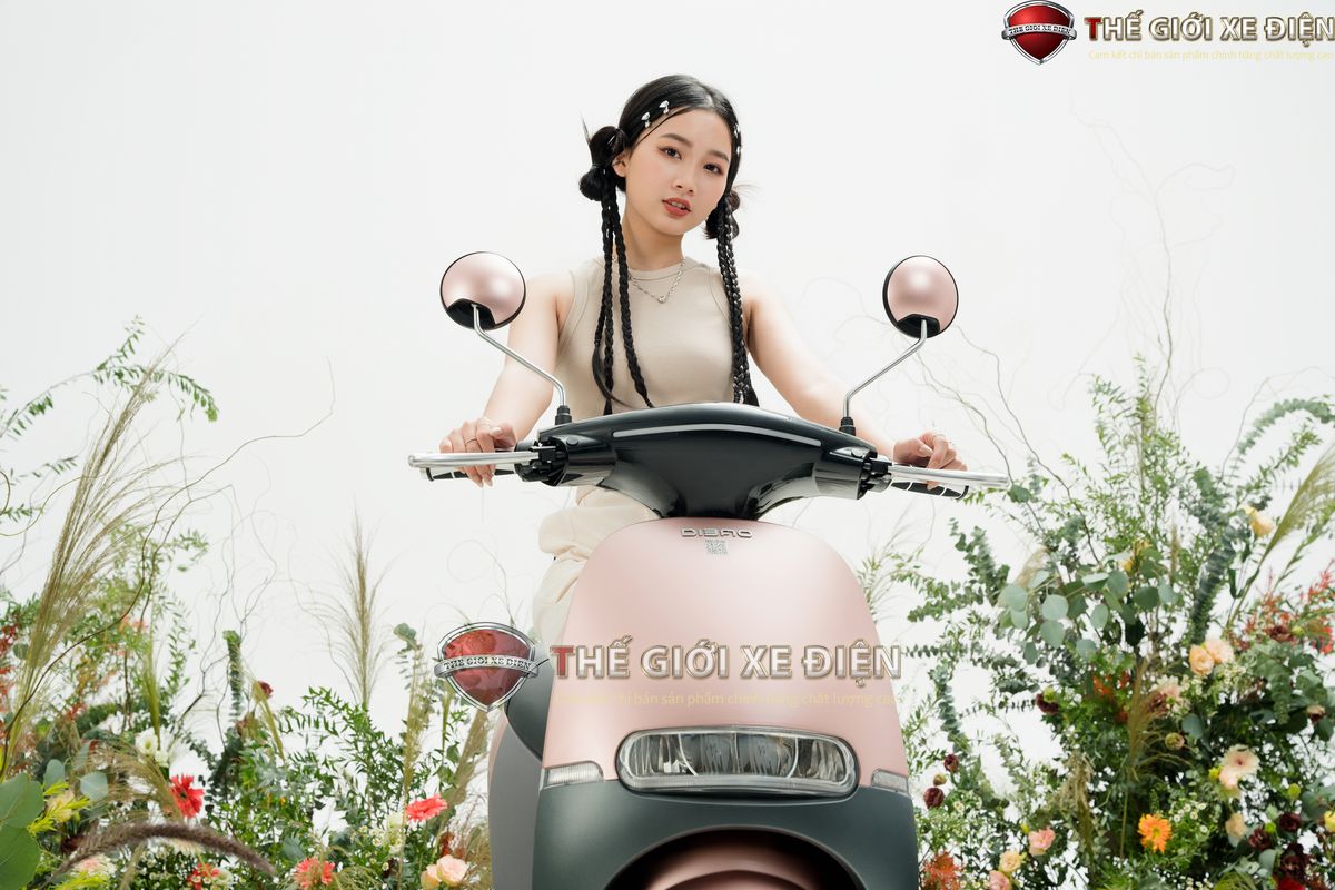xe máy điện dibao gogo s5 xe máy điện dibao gogo s5