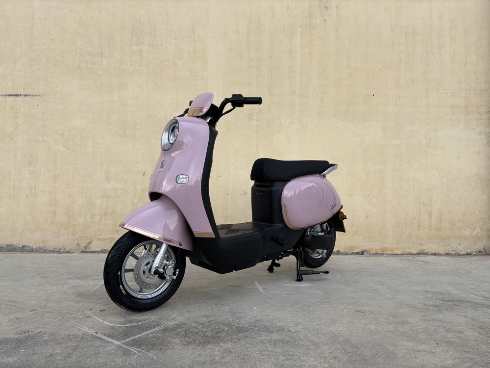 xe đạp điện dibao rosa xe đạp điện dibao rosa
