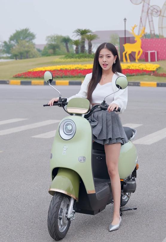xe đạp điện dibao rosa thế hệ mới xe đạp điện dibao rosa thế hệ mới