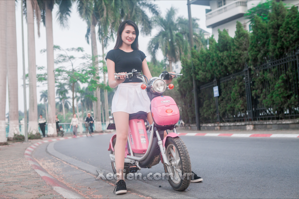 Xe điện Ninja 2016 giá rẻ Goi-y-mot-so-mau-xe-dap-dien-gia-tot-2