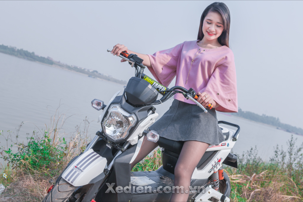 Xe điện Zoomer Dibao và cách lựa chọn Mot-so-tieu-chi-de-chon-mua-xe-dien-khong-ne-bo-qua-1
