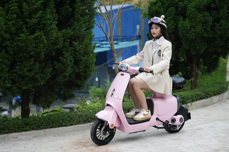 Mẫu xe đạp điện