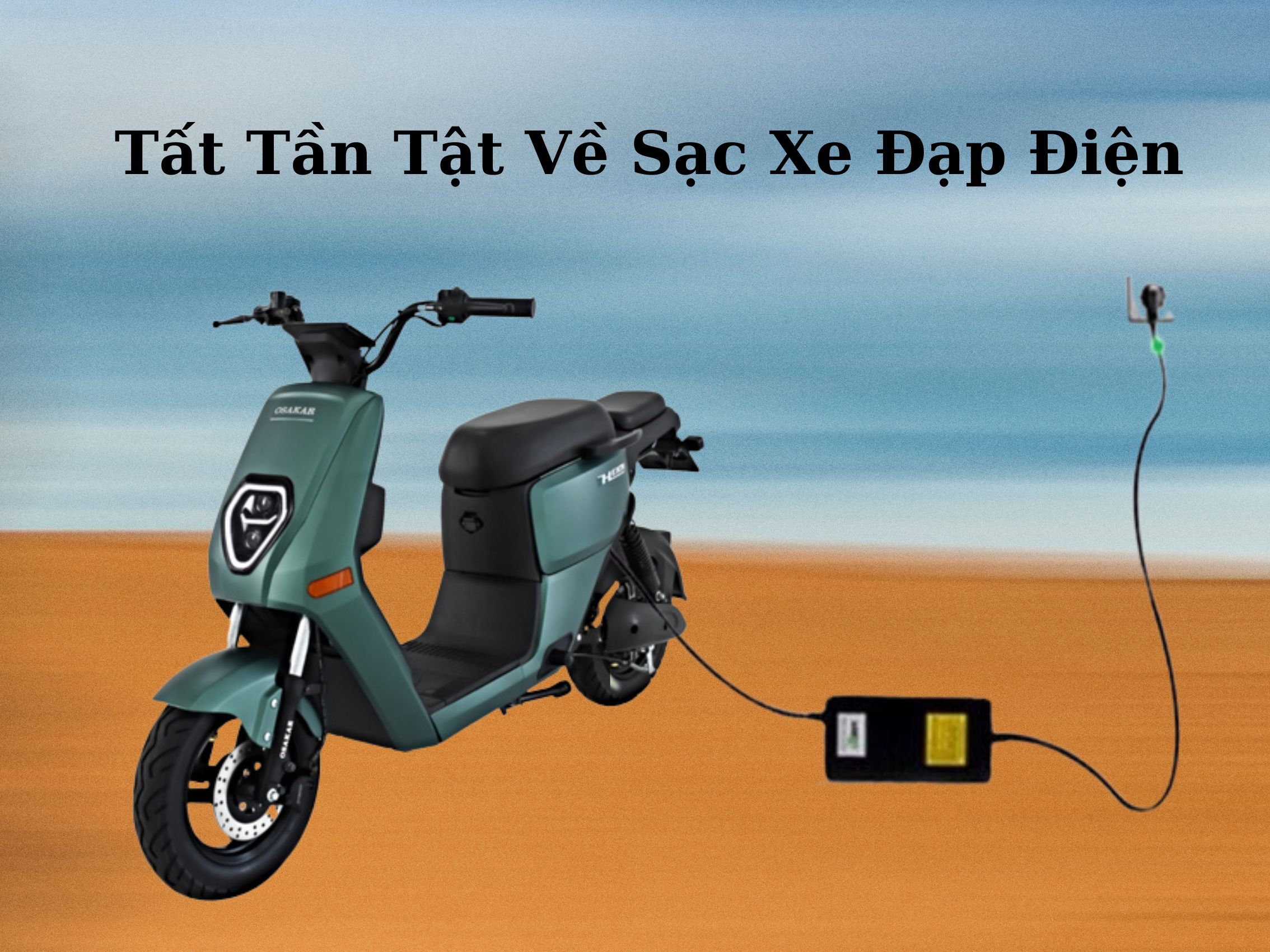 Cục sạc xe đạp điện Cục sạc xe đạp điện