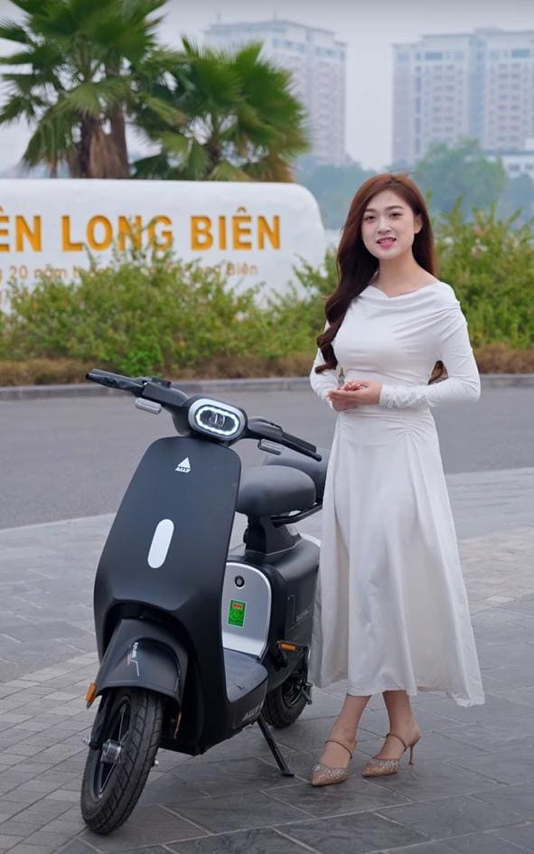 xe đạp điện Ally Elyas