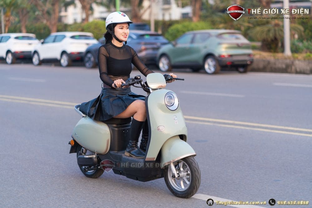 Xe đạp điện Dibao Rosa