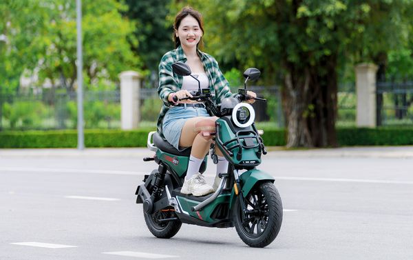 các mẫu xe đạp điện tailg