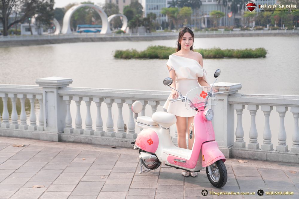 các mẫu xe đạp điện tailg