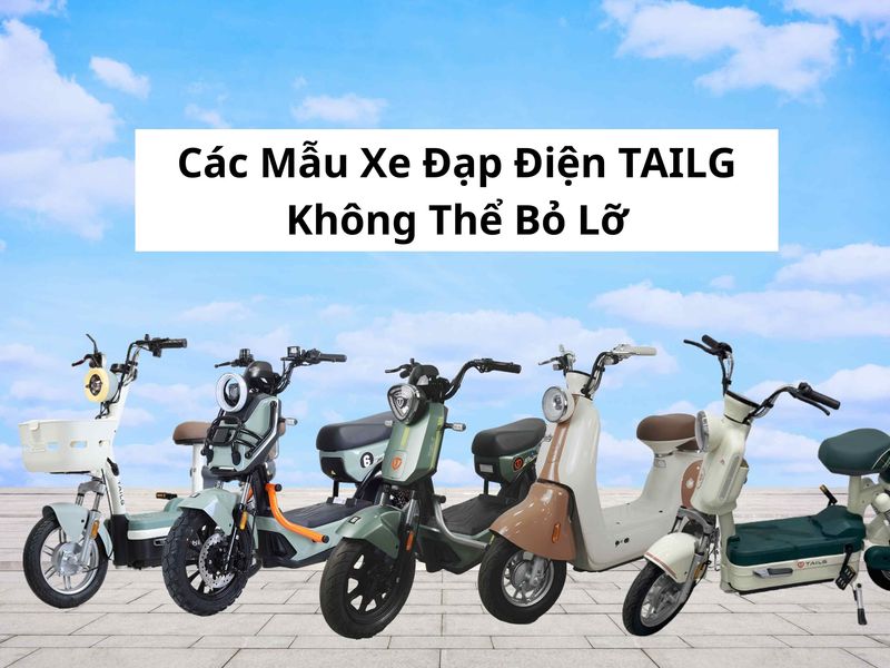 các mẫu xe đạp điện tailg