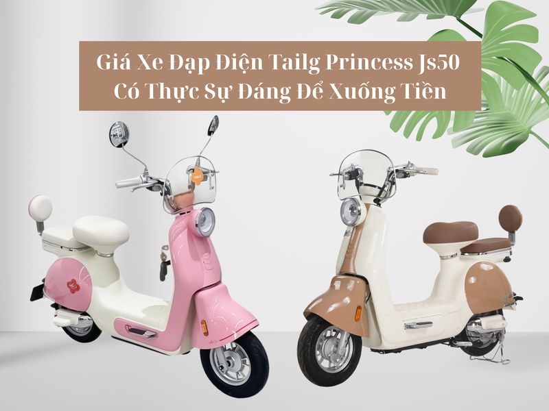 giá xe đạp điện tailg princess js50