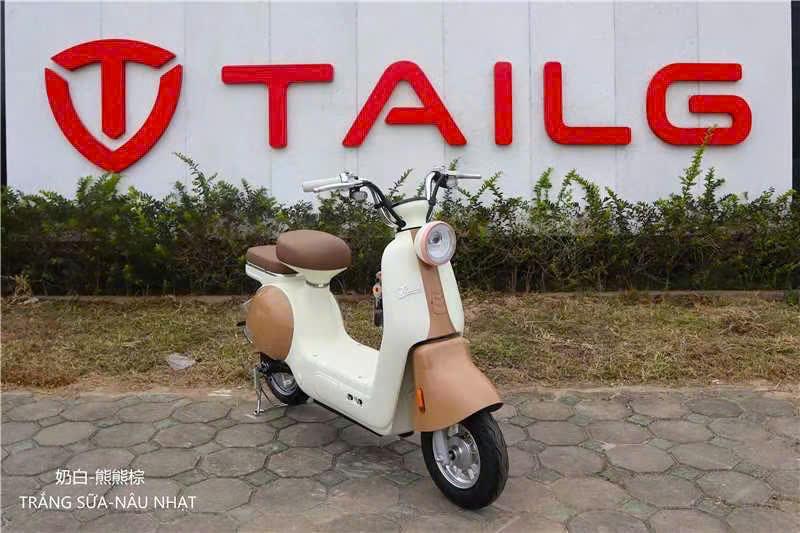 giá xe đạp điện tailg princess js50