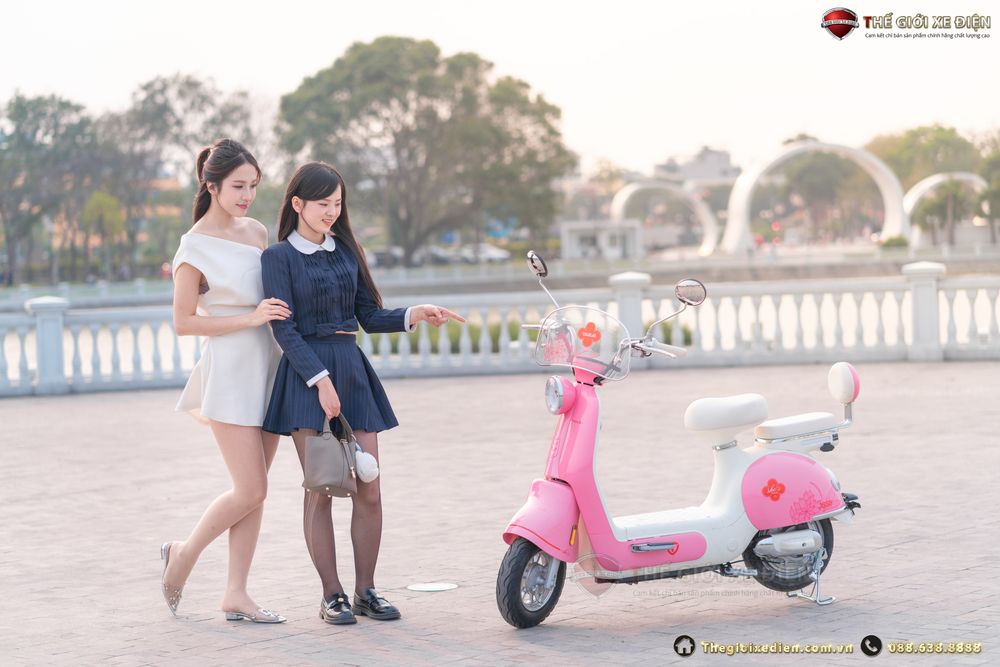 giá xe đạp điện tailg princess js50