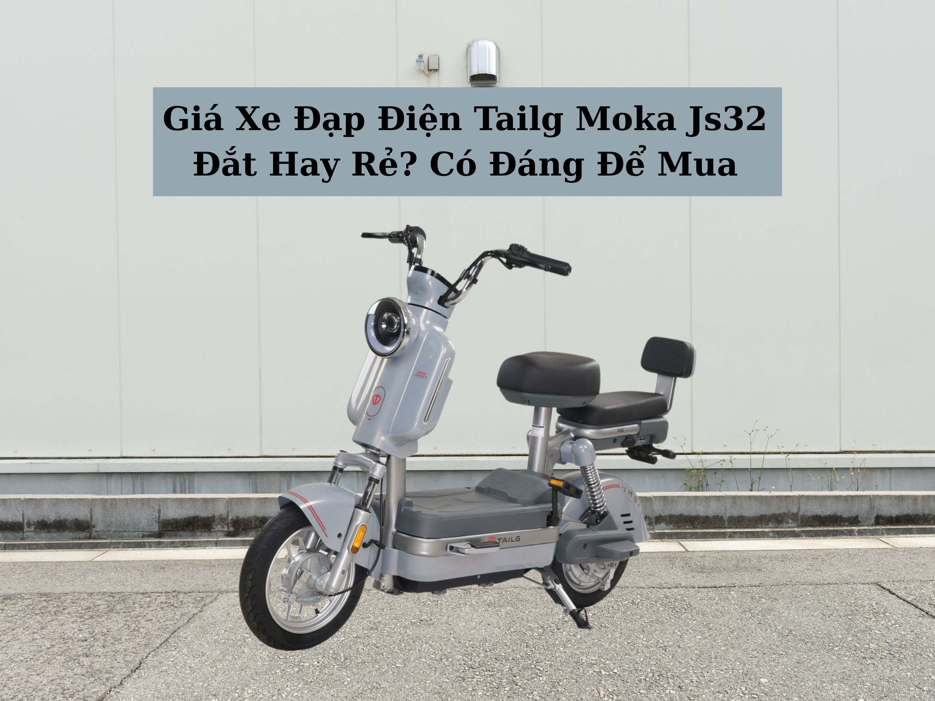 giá xe đạp điện tailg moka js32