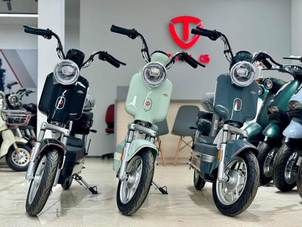 giá xe đạp điện tailg moka js32