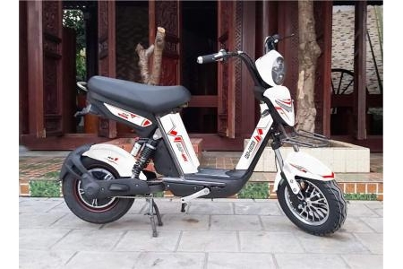 Xe đạp điện Ninja