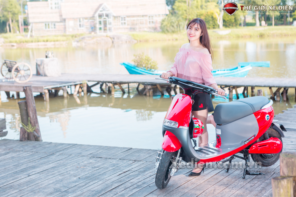 xe máy điện xe-dien-gogo-dibao_008