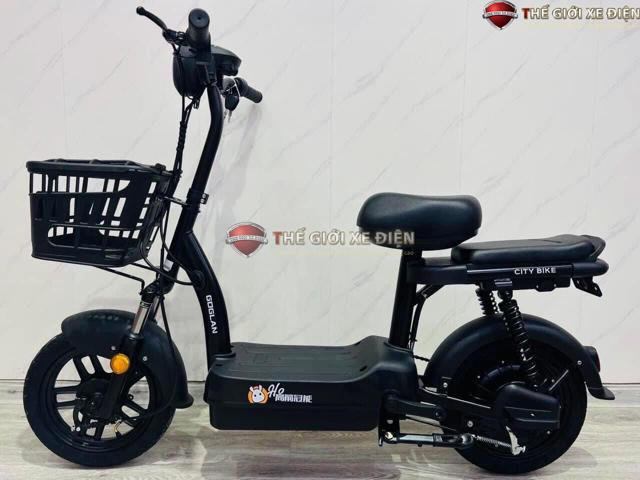 xe đạp điện Super Goglan 2
