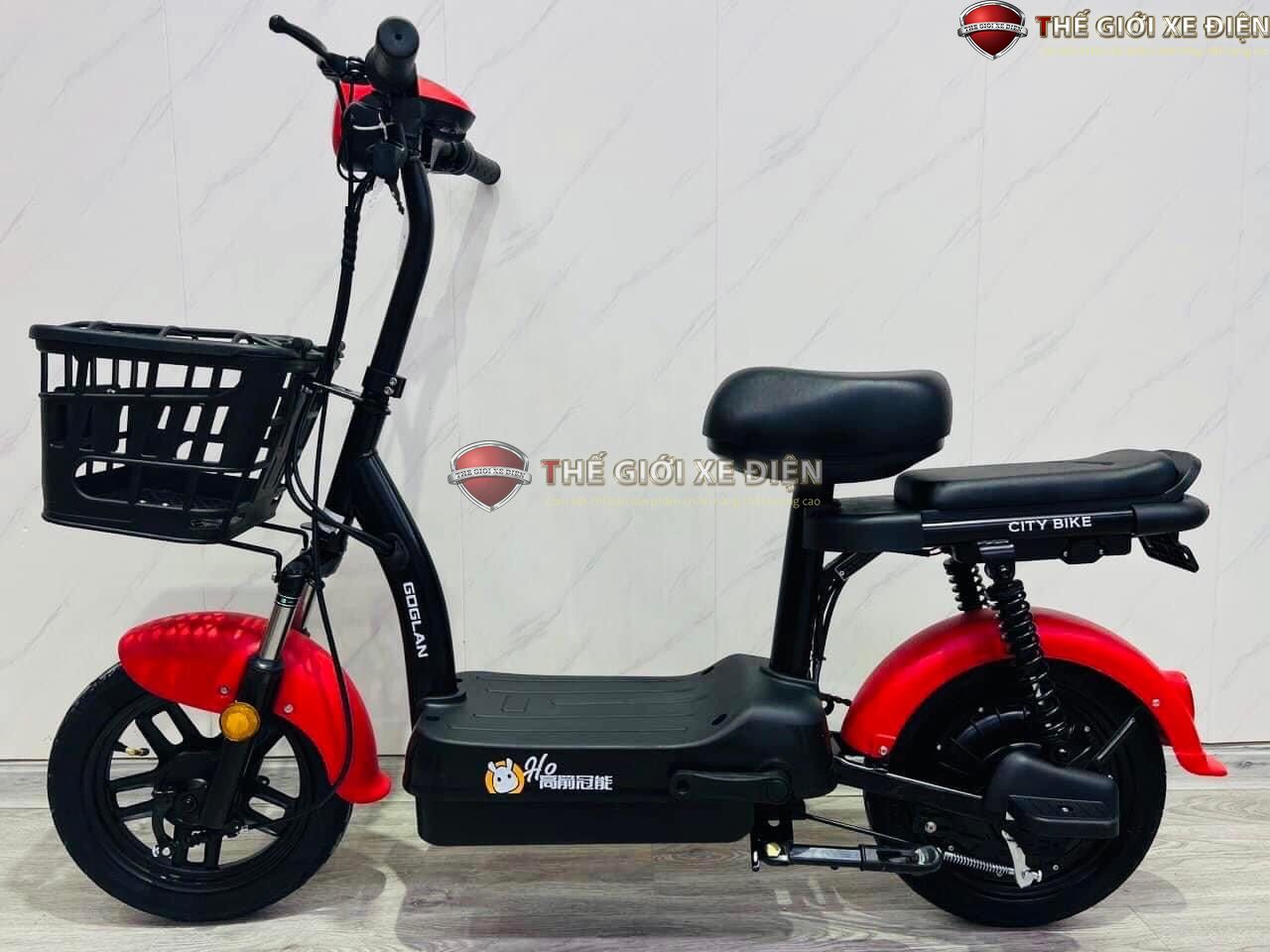 xe đạp điện Super Goglan 2