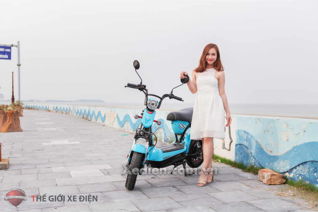 Xe điện Dibao 133SS Xe điện Dibao 133SS
